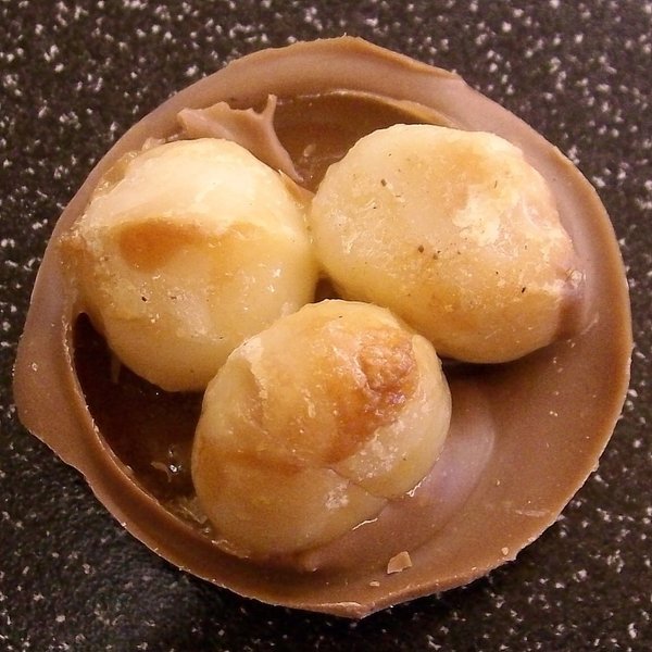 Macadamia Taler klein ca. 3 cm mit Milchschokolade